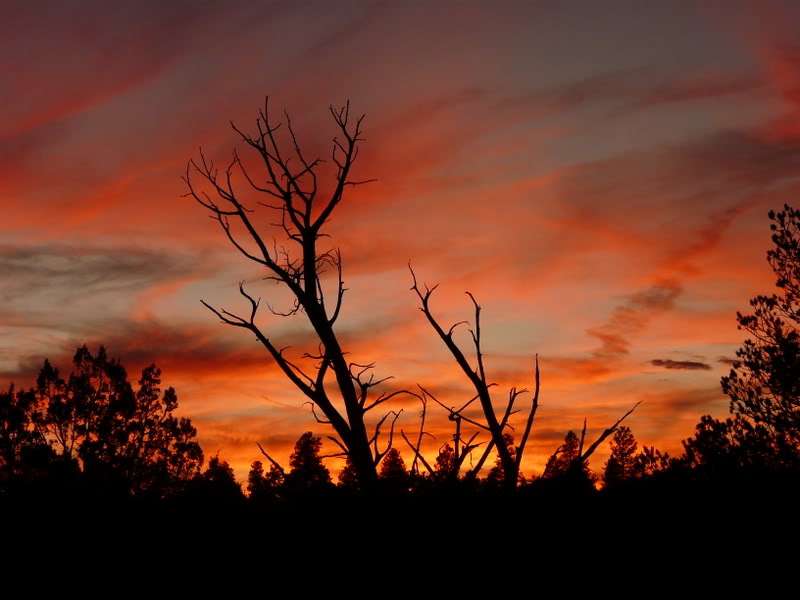Arizona Sunset
