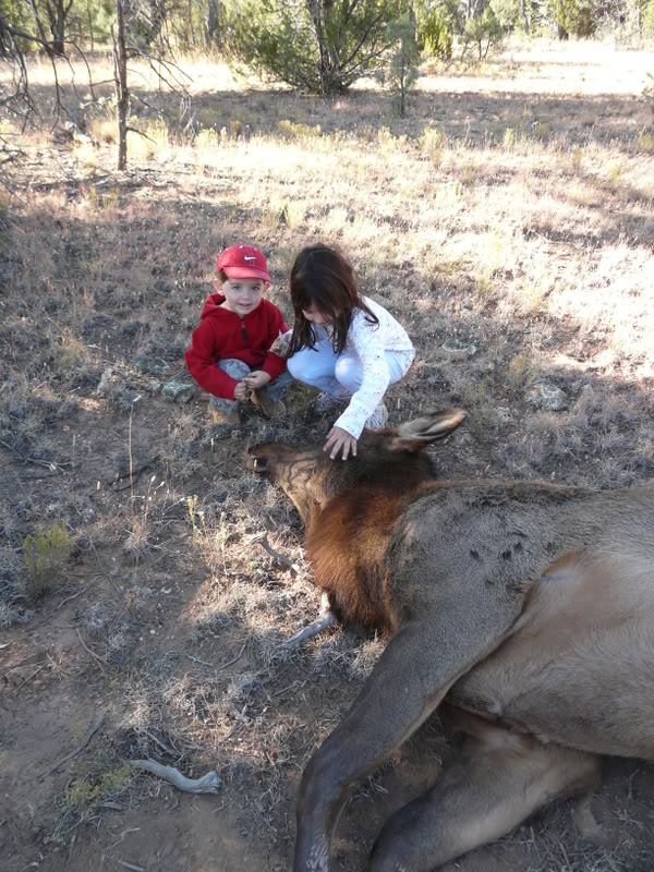 Checking her out..