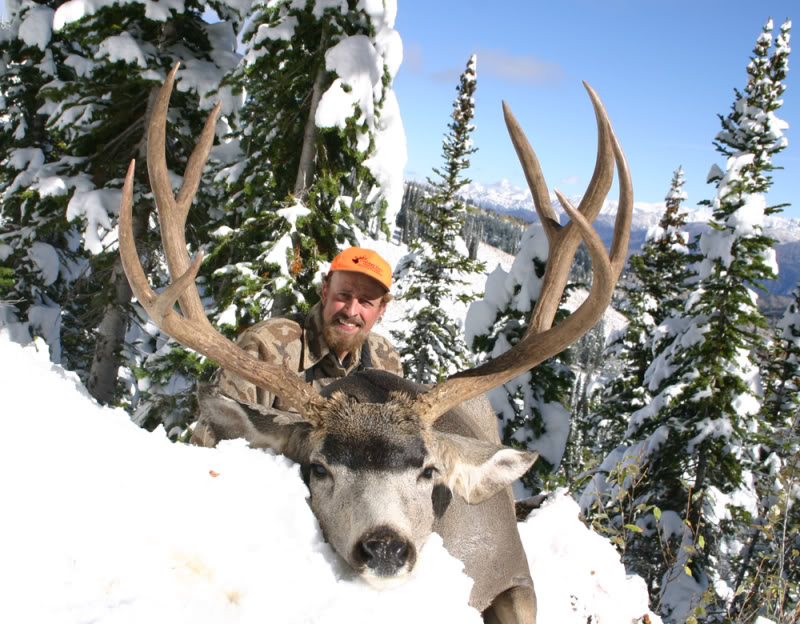 SW Deer