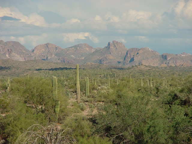 Desert