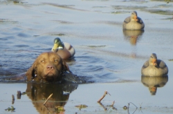 mac swim WI pond